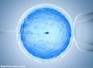严重少弱精案例
